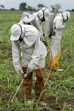 пестициди і агрохімікати